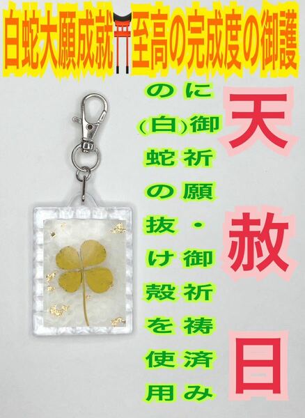 金の4つ葉 脱け殻 メモリーオイル 金運 白蛇の抜け殻 キーホルダー 金箔 本物 四つ葉のクローバー 白蛇のお守り【天赦日ご祈祷済み】24