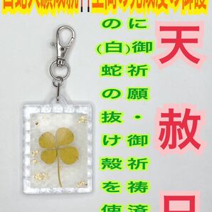 金の4つ葉 脱け殻 メモリーオイル 金運 白蛇の抜け殻 キーホルダー 金箔 本物 四つ葉のクローバー 白蛇のお守り【天赦日ご祈祷済み】24
