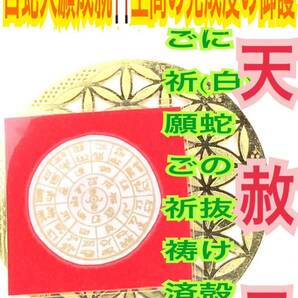 天赦日御祈祷済み☆龍体文字 フトマニ図 白蛇の抜け殻 龍体文字 奇跡を呼ぶ龍体文字 神字 カタカムナ メモリーオイル 白蛇のお守り 財布 21