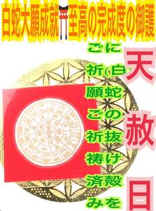 天赦日御祈祷済み☆龍体文字 フトマニ図 白蛇の抜け殻 龍体文字 奇跡を呼ぶ龍体文字 神字 カタカムナ メモリーオイル 白蛇のお守り 財布 21