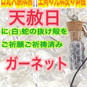 妊娠 勝利 子宝 合格 勝運 小瓶 白蛇のお守り【天赦日ご祈祷済み】白蛇の抜け殻 財布 メモリーオイル ガーネット 第1チャクラ 脱け殻 21 !