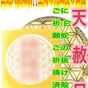 白蛇の抜け殻 龍神様 サムハラ フラワーオブライフ 神字 神代文字 カタカムナ メモリーオイル 脱け殻 白蛇のお守り【天赦日ご祈祷済み】22