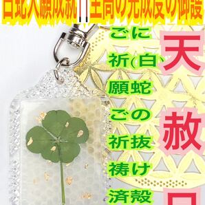 天赦日ご祈祷済み】5つ葉 脱け殻 メモリーオイル 白蛇の抜け殻 キーホルダー 金箔 本物 五つ葉のクローバー 最強の白蛇のお守り 財布 23