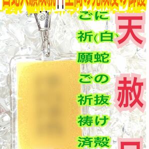 白蛇の抜け殻 キーホルダー サムハラ 厄祓い 魔除け 開運 神字 神代文字 カタカムナ メモリーオイル 白蛇のお守り【天赦日ご祈祷済み】25