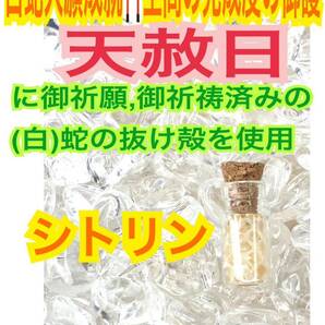 チャーム 臨時収入 白蛇のお守り 白蛇の抜け殻 財布 メモリーオイル 小瓶 高額当選 脱け殻 シトリン 第３チャクラ 【天赦日ご祈祷済み】21