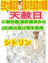 チャーム 臨時収入 白蛇のお守り 白蛇の抜け殻 財布 メモリーオイル 小瓶 高額当選 脱け殻 シトリン 第３チャクラ 【天赦日ご祈祷済み】21_画像1