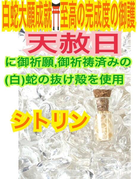 チャーム 臨時収入 白蛇のお守り 白蛇の抜け殻 財布 メモリーオイル 小瓶 高額当選 脱け殻 シトリン 第３チャクラ 【天赦日ご祈祷済み】21