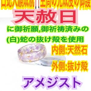 1個≪3~27号 希望サイズ発送≫白蛇の指輪お守り【天赦日ご祈祷】御神環 メモリーオイル 白蛇の抜け殻 リング アメジスト 第7チャクラ 24
