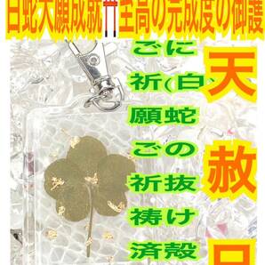 白蛇の抜け殻 本物 金運 恋愛運 金の五つ葉のクローバー キーホルダー 脱け殻 メモリーオイル 白蛇のお守り【天赦日ご祈祷済み】財布 24