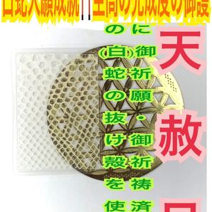 白蛇の抜け殻 脱け殻 カードサイズ メモリーオイル(億万長者マインド 和の金運 弁財天 龍神 等) 素朴 白蛇のお守り【天赦日ご祈祷済み】25