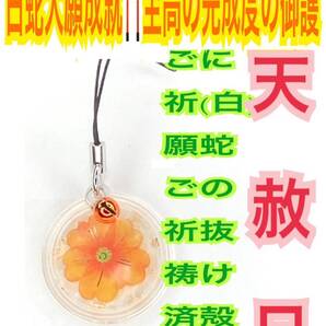 白蛇の抜け殻 チャーム 脱け殻 ストラップ 花 メモリーオイル 強力な白蛇のお守り【天赦日,定期的ご祈祷済み】財布 招福鈴 第2チャクラ 23