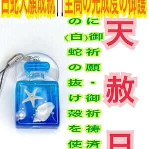 白蛇の抜け殻 パール メモリーオイル ヒトデ 真珠 化粧瓶 貝殻 チャーム ストラップ 恋愛運 結婚 白蛇のお守り【天赦日ご祈祷済み】青系25
