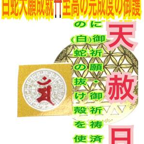 天赦日ご祈祷済】龍体文字 神字 フトマニ図 白蛇の抜け殻 脱け殻 文殊菩薩 卯 梵字 干支 カタカムナ メモリーオイル 白蛇のお守り 財布 21