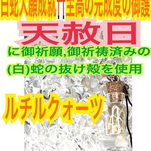 商売繁盛 金運上昇 金運全般 小瓶 白蛇のお守り【天赦日ご祈祷済み】白蛇の抜け殻 財布 メモリーオイル ルチルクォーツ 第3チャクラ 22