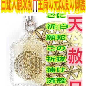 白蛇の抜け殻 フラワーオブライフ 幾何学模様 キーホルダー 脱け殻 開運 メモリーオイル 金運 白蛇のお守り【天赦日ご祈祷済み】財布 25