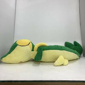 【1円～】ポケットモンスター ポケモン ぬいぐるみ まとめ売り ポケセン ツタージャ フォッコ ケロマツ 他 現状品【中古品】の画像2