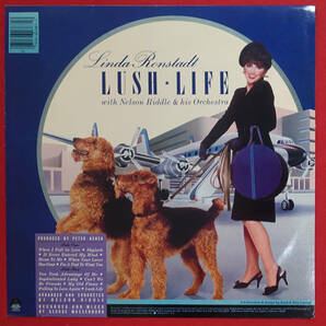 極美! US ASYLUM オリジナル 1984年 LUSH LIFE / Linda Ronstadtの画像1