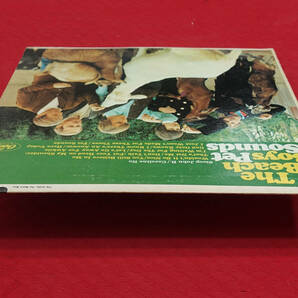 良盤! US Capitol MONO T-2458 オリジナル PET SOUNDS / The Beach Boys の画像6