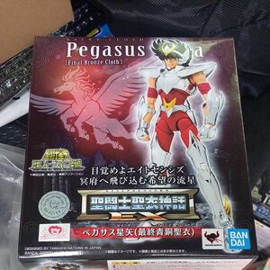 聖闘士聖衣神話EX 聖闘士星矢 ペガサス星矢最終青銅聖衣 約170mm ABS&PVC&ダイキャスト製 4体セット