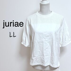 ジュリア　レース切り替え半袖Tシャツ【LL】シンプル可愛い　タック入りスリーブ ブラウス