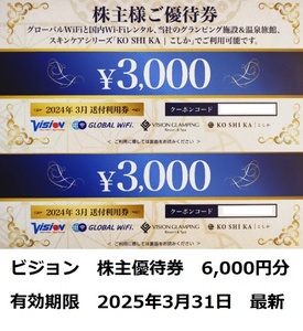 ビジョン　株主優待券　6,000円分　グローバルWiFiレンタル　グランピング＆温泉旅館　送料無料（普通郵便）　即決　有効期限2025年3月31日