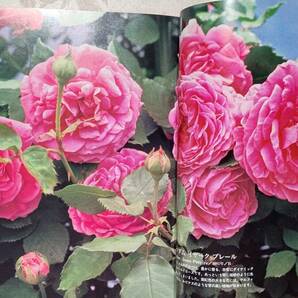 カバー付き本 バラの園を夢見て 平成8年5月25日 第2版 婦人生活社の画像4