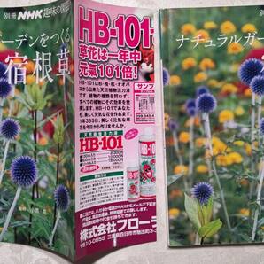 カバー付き本 別冊NHK趣味の園芸 ナチュラルガーデンをつくる 宿根草 小黒晃 2008年4月20日　第1刷