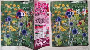  с чехлом книга@ отдельный выпуск NHK хобби. садоводство натуральный сад ..... корень . маленький чёрный .2008 год 4 месяц 20 день no. 1.