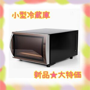 ★新品★ラスト1点★大特価　冷蔵庫　23L 省エネ　ペルチェ式　温度設定可　1ドア