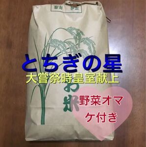 令和5年産とちぎの星　5kg 宮ねぎ&九条ねぎサービス付き