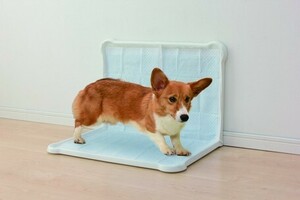  new goods @[ pet accessories toilet sanitation ] sheet .... tray double wide P-SPTD/ Brown 