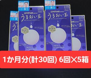 リッツ うるおい玉 EGF 6個入り 5箱