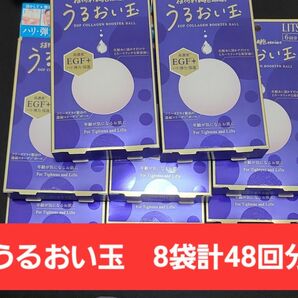 リッツ うるおい玉 EGF 1袋6個入り 8袋(計48個)