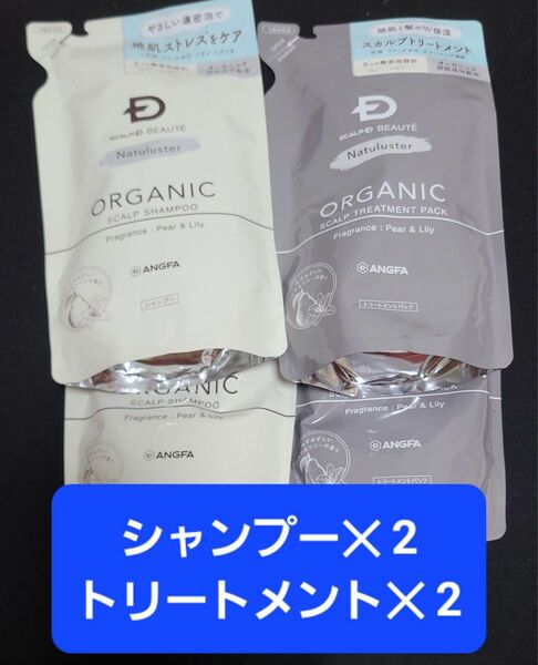 スカルプD ボーテ ナチュラスター スカルプシャンプー＆トリートメントパック つめかえ用2点セット（300ml＋300ml）×2個