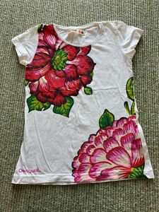 デシグアルのＴシャツ