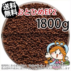 113-08-010 日清丸紅飼料おとひめEP2（沈降性）1800g※2kgから規格変更　金魚小屋-希-福岡