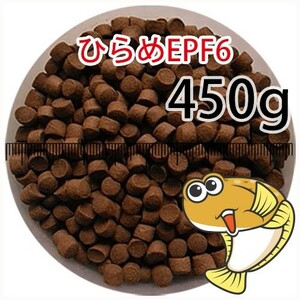 219-02-021 day Kiyoshi circle .. charge common .EPF6( surfacing .)450g*500g from standard modification goldfish small shop -.- Fukuoka 