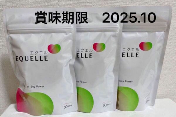 大塚製薬エクエル　120粒　3袋セット