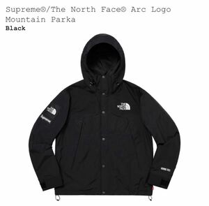 Supreme The North Face arc logo Mountain Parka M