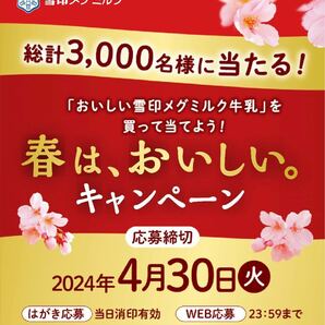 ■4/30締切■4ポイント分レシート■雪印メグミルク牛乳キャンペーン■BRUNOブルーノ ケトル／QUOクオカード500円分■懸賞応募■の画像3