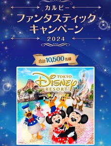 ■即決■30点分■カルビーファンタスティックキャンペーン■東京ディズニーシー貸切パーティー■東京ディズニーリゾートパークチケット■