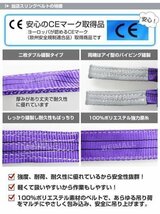 未使用 10本セット ナイロンスリングベルト ベルトスリング スリングベルト 荷上げ 耐荷重 2.4t 5m 幅 75mm_画像4