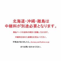 プール 家庭用 滑り台 大型 2.5 × 1.6m 子供 ファミリープール ビニールプール すべり台付き 子ども キッズ キッズプール 家庭用プール_画像9