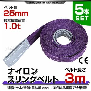 5本セット ナイロンスリングベルト ベルトスリング スリングベルト 1.0t 1000kg 荷上げ 耐荷 1t 3m 幅 25mm