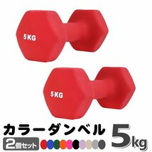 未使用 ダンベル 5kg 2個セットカラーダンベル 鉄アレイ ダンベル コンパクト おしゃれ かわいい カラフルダンベル エクササイズ 筋トレ_画像1