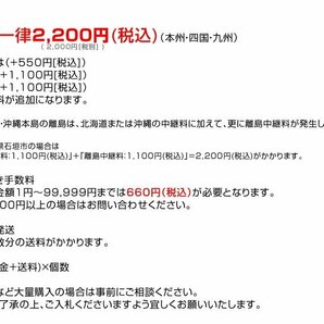 訳あり 2個セット アウトドア テーブル キャンプ 折りたたみ レジャーテーブル 180cmの画像2