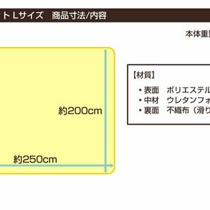 訳あり ラグマット Lサイズ オールシーズン 200×250cm 滑り止め付 マット 洗える カーペット 軽量 ホットカーペット対応 床暖房対応の画像7