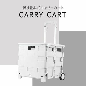 未使用 キャリーカー キャリーカート 折りたたみ カート ショッピングカート 折畳み キャリー 軽量 台車 耐荷重25kg アウトドア レジャー