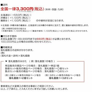 ジャンク 1円 小型洗濯機 洗濯機 二層式 小型 ミニ洗濯機 簡易洗濯機 3.6kgの画像2