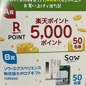 懸賞応募■西友×P&G■家計を楽に、自然を楽しむ!キャンペーン【レシート 1口分】楽天ポイント5,000ポイントなどが当たる■専用ハガキありの画像3